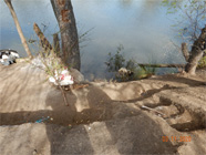 Levee of the Smith Canal showing debris and cutouts for steps and living area in the levee - Date of 03.11.2020 shows at the bottom of the photo