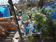 Homeless encampment along Smith Canal; green plastic chair wood pallets blue tarps, plastic plant, hard hat, bicycle carrier, and debris.  Canal in the background. - Date of 03.11.2020 shows at the bottom of the photo