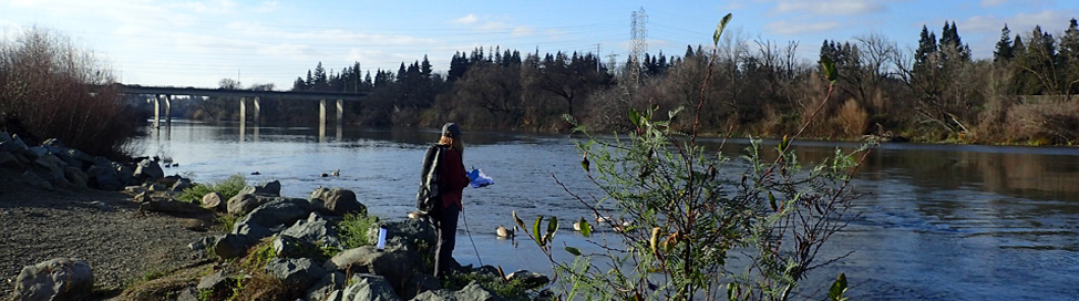 SWAMP Sacramento River Basin Header