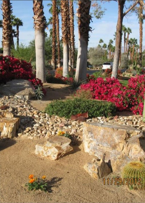 Desert Landscaping