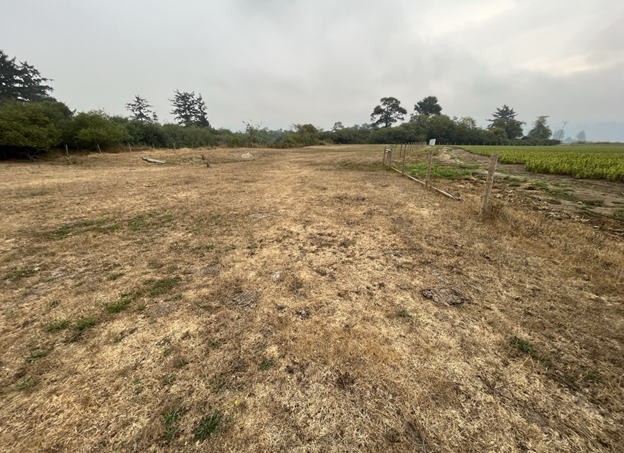 A lily field with furrows directed to a pasture in the foreground separated by a fence. 