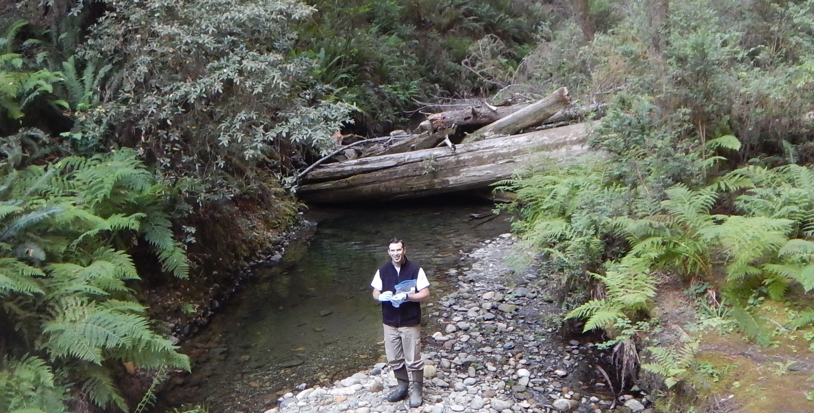 Jeremiah Puget, Regional Water Board staff, collecting  water samples from Clarks Creek in Del Norte County. Photo credit Steve Butkus.