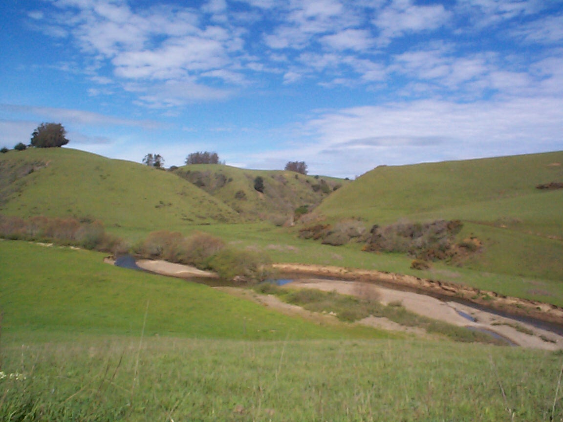 downstream depositional area in Walker Creek