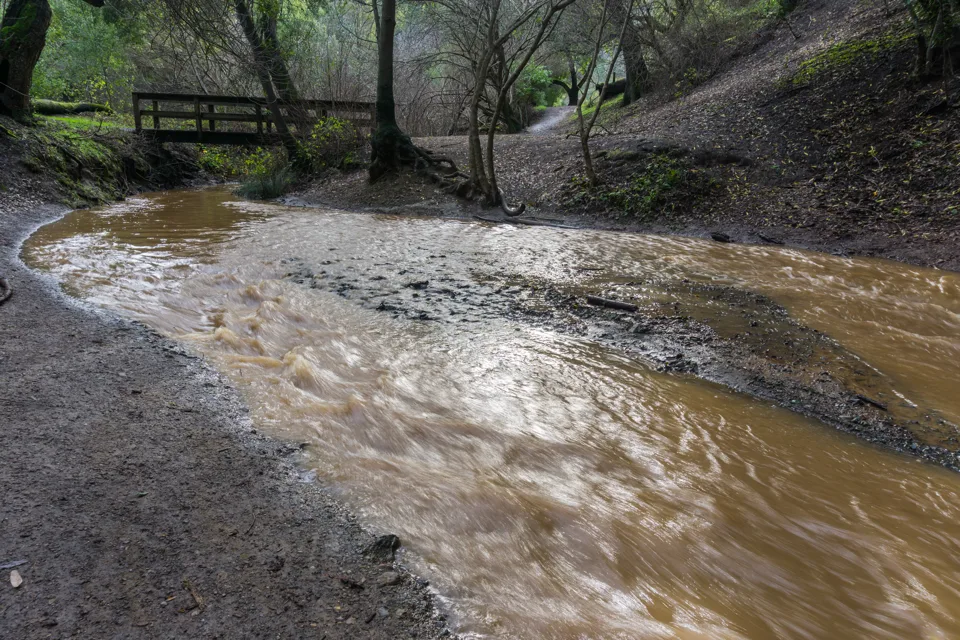 Photo of stormwater runoff into a muddy stream of water. Credit: Adobe Stock