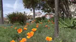 image of stormwater running across a street