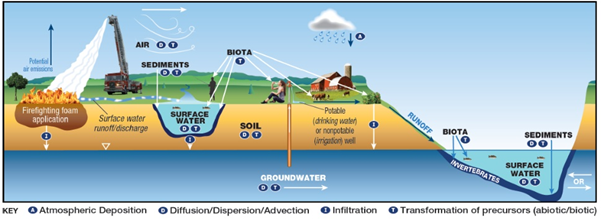 Potential Mechanisms of transport of PFAS from firefighting foam application to environmental media.