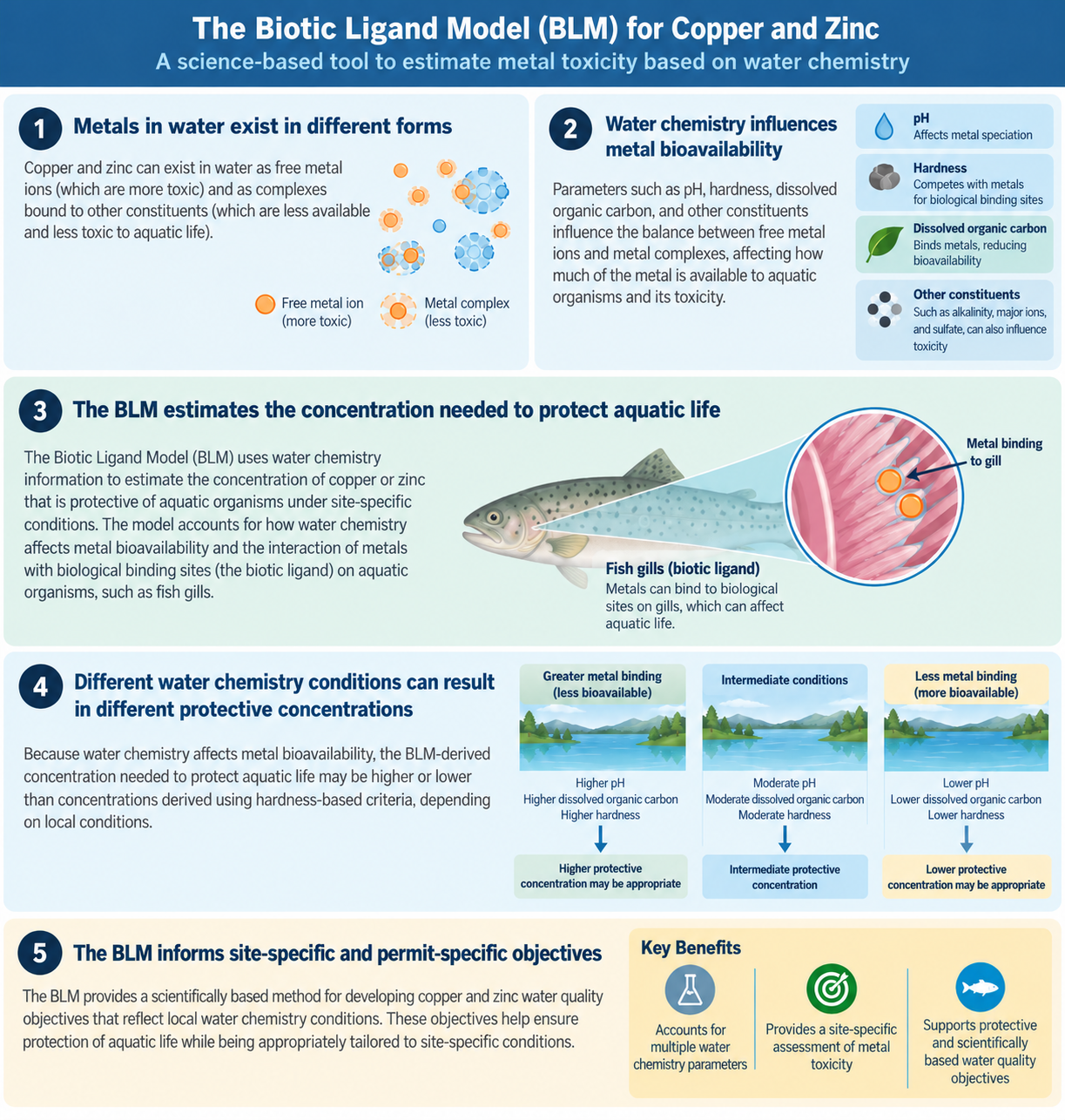 infographic on metal toxicity based on water chemistry