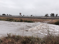 Tijuana River