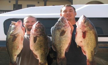 people holding up fish