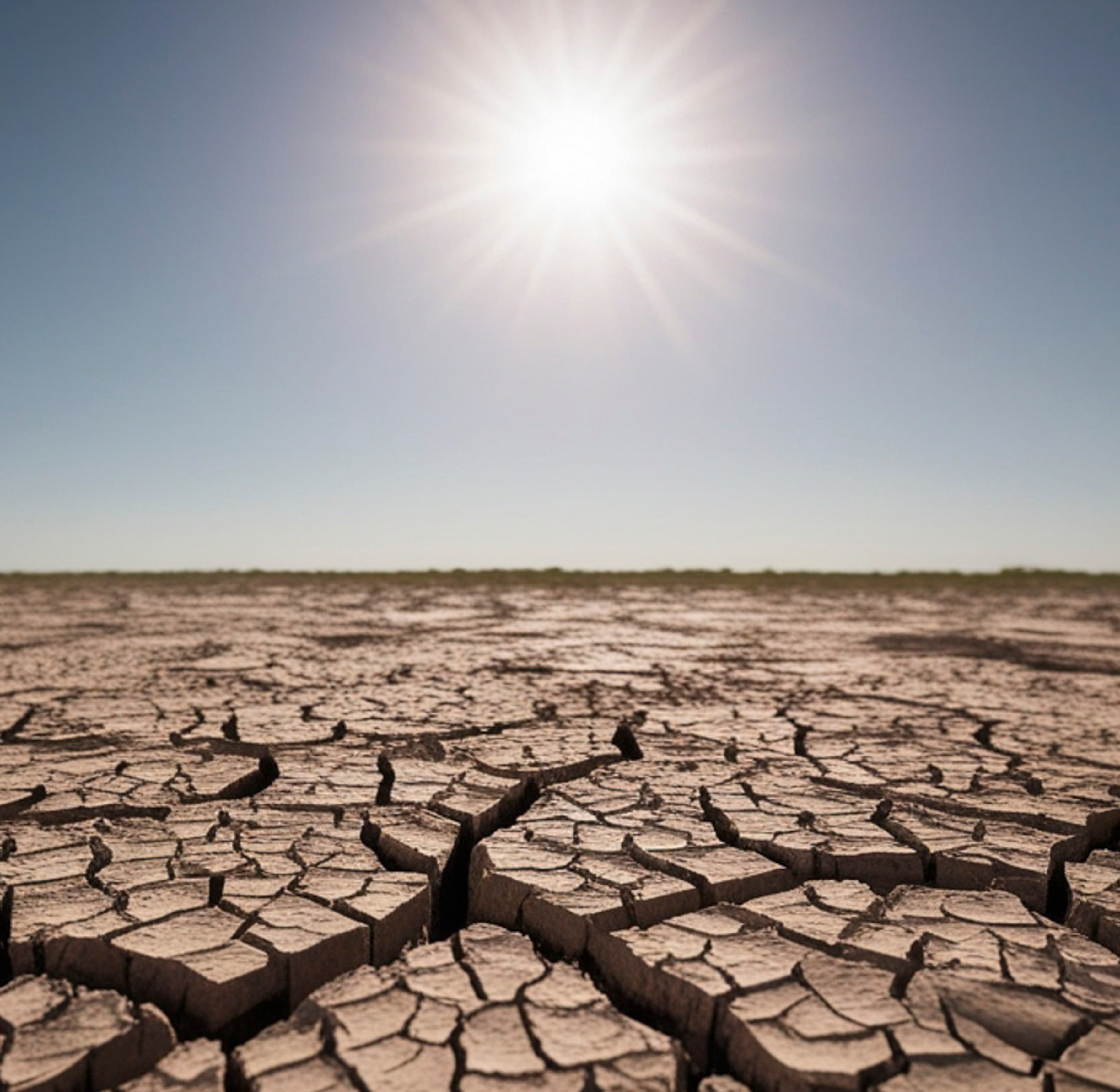 Drought cracked earth