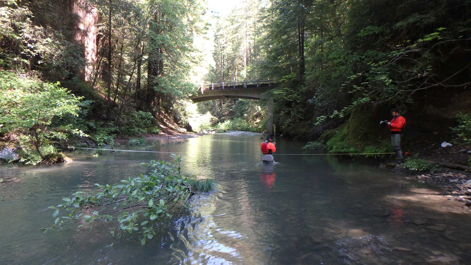 South Fork Eel River